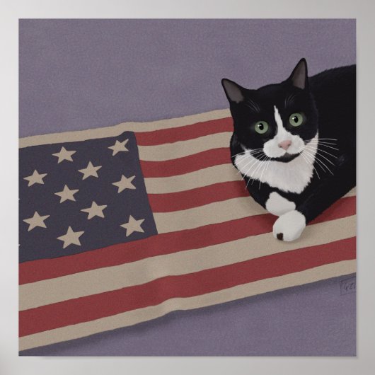 Poster Chat USA (Devant)