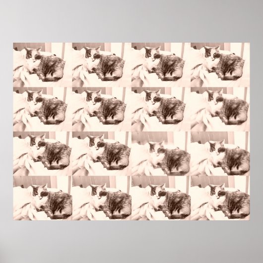 Poster Chat vintage de Calico (Devant)