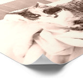 Poster Chat vintage de Calico (Coin)