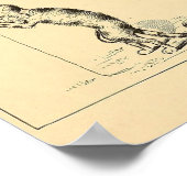 Poster Chat vintage Funny (Coin)