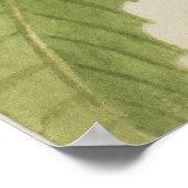 Poster Châtaigne d'Amérique (Castanea dentata) (Coin)