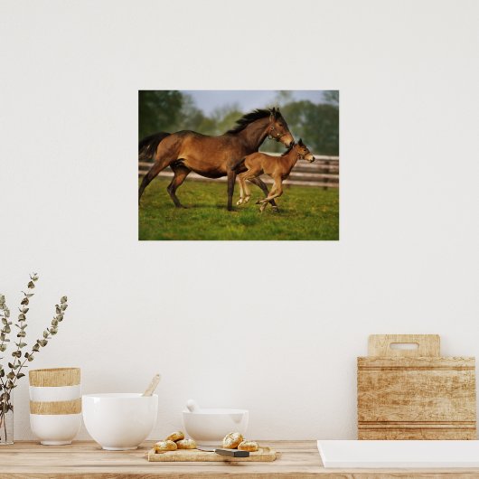 Poster Châtaigne de Thoroughbred Mare & Foie (Cuisine)