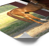 Poster Châtaignier (Coin)