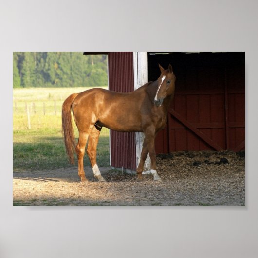 Poster Châtaignier (Devant)