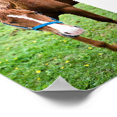 Poster Châtaignier humide (Coin)