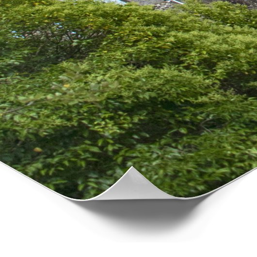 Poster Château (Coin)