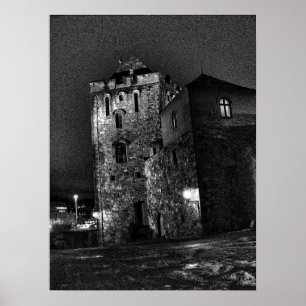 Poster Château à Bergen