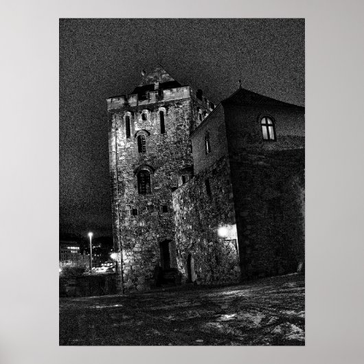 Poster Château à Bergen (Devant)