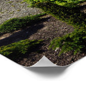 Poster Château de Blarney (Coin)