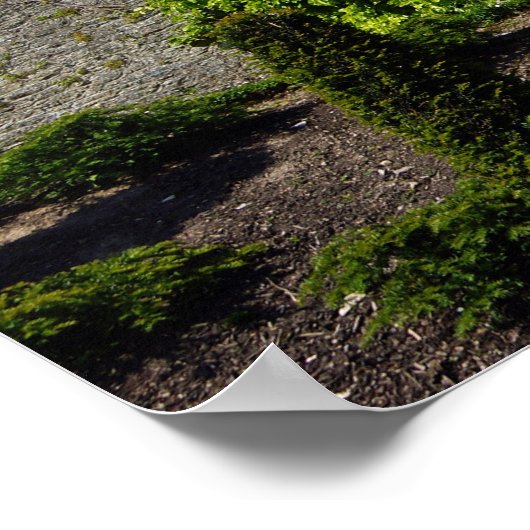 Poster Château de Blarney (Coin)