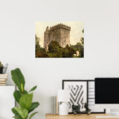 Poster Château de Blarney, comté de Cork (Bureau à domicile)