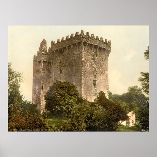 Poster Château de Blarney, comté de Cork (Devant)