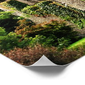 Poster Château de Blarney, Irlande (Coin)