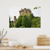 Poster Château de Blarney, Irlande (Cuisine)