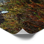 Poster Château de Blarney, Irlande (Coin)