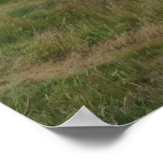 Poster Château de Dunnottar (Coin)