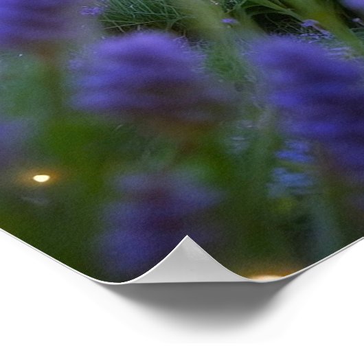 Poster Château de Fairy de la Lavande Cachée Grove (Coin)