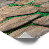 Poster Château de Fairy Tale (Coin)