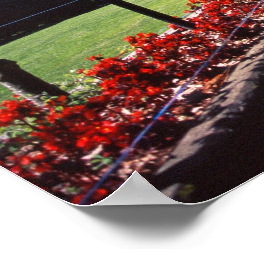 Poster Château de Larnach, Dunedin, Nouvelle-Zélande 2 (Coin)