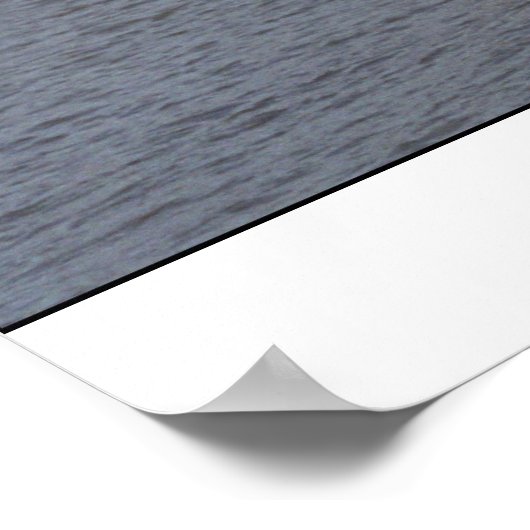 Poster Château de Moritzburg (Coin)