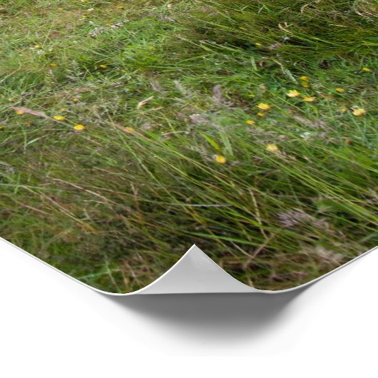 Poster Château de mow cop (Coin)