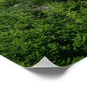 Poster Château de Neuchwanstein Bavaria (Coin)