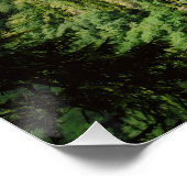 Poster Château de Neuschwanstein (Coin)