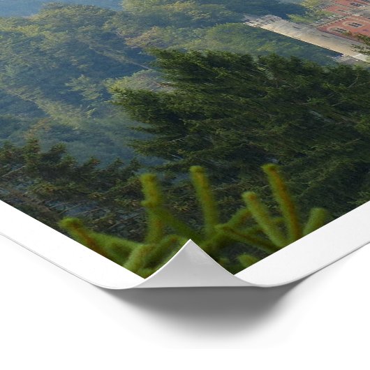 Poster Château de Neuschwanstein, Château de Fairy, Allem (Coin)