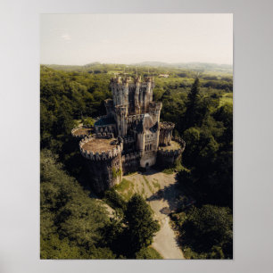 Poster Château de pierre de taille grise dans la forêt 
