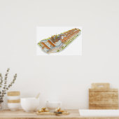 Poster Château de Prague. République tchèque de Prague (Cuisine)