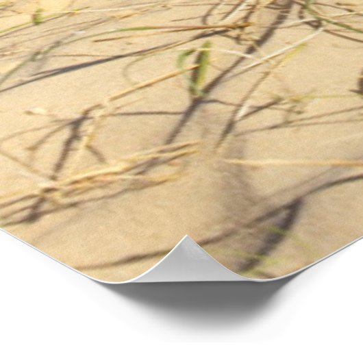 Poster Château de sable de Beach (Coin)