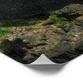 Poster château d'edinburgh gull (Coin)