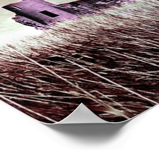 Poster Château Dracula (Coin)