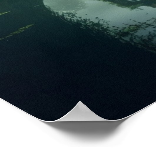 Poster Château du marais interdit (Coin)