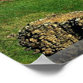 Poster Château d'Urquhart, Loch Ness, Ecosse (Coin)