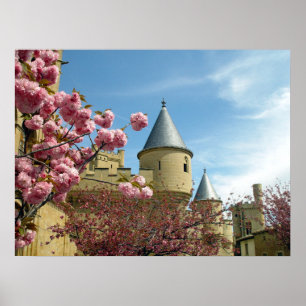 Poster Château et fleurs