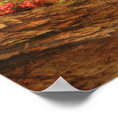 Poster Château - Le Jardin secret (Coin)