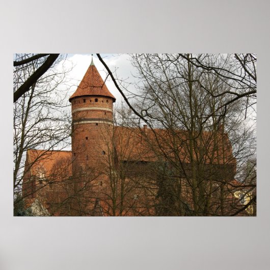 Poster Château médiéval gothique d'Olsztyn (Devant)