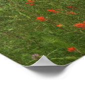 Poster Château Mountain Banff (Coin)