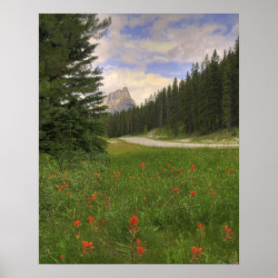 Poster Château Mountain Banff