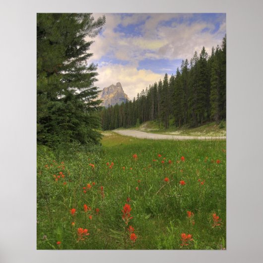 Poster Château Mountain Banff (Devant)