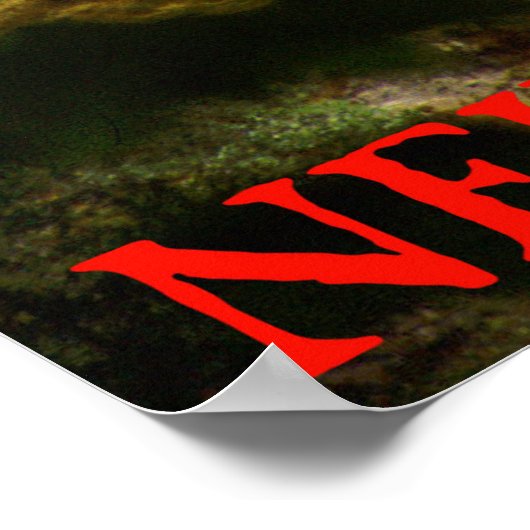 Poster château neidpath (Coin)