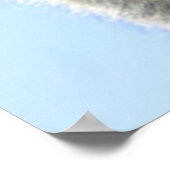 Poster chaton (Coin)