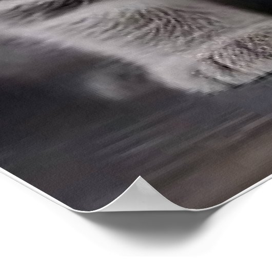 Poster chaton (Coin)