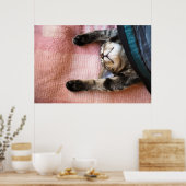 Poster Chaton à neige (Cuisine)