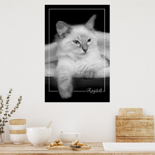 poster chaton à poupée (Cuisine)