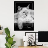 poster chaton à poupée (Bureau à domicile)