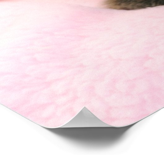 poster chaton à poupée (Coin)