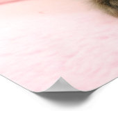 poster chaton à poupée (Coin)