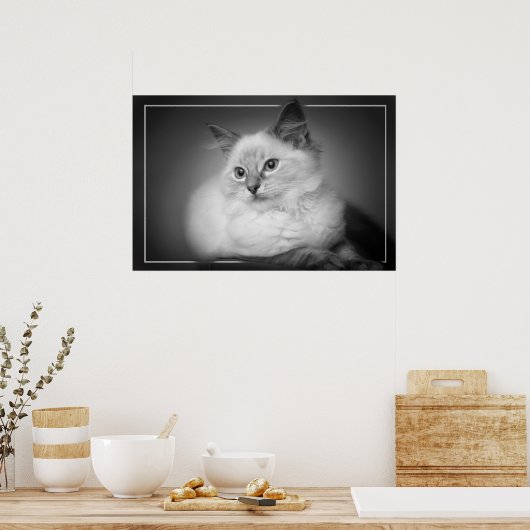 poster chaton à poupée (Cuisine)